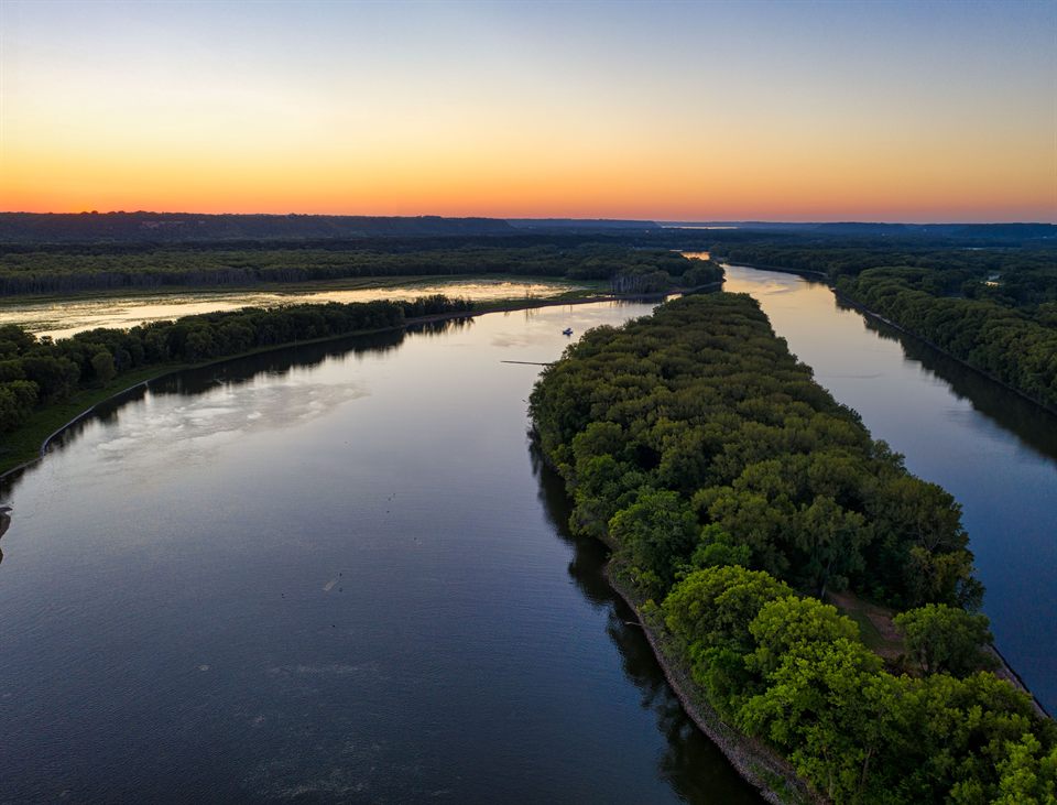The wooded Mississippi backwaters at dusk